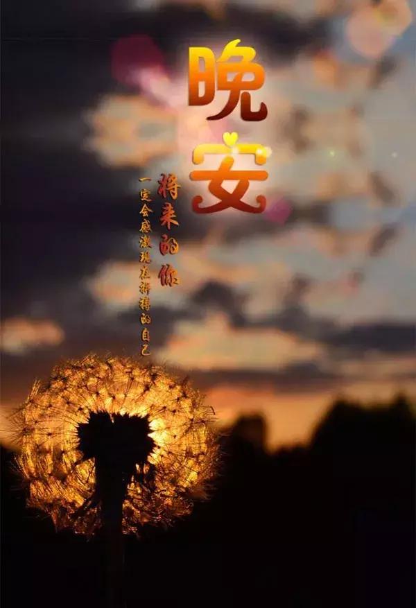 自考培训 第148页